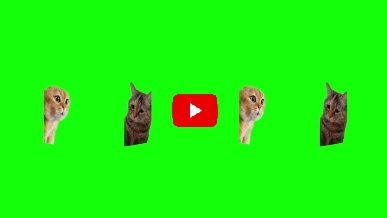 ffmpeg : 将平面SBS视频转换为等距圆柱投影(Equirectangular)SBS视频。